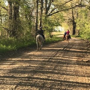 Meet your Posher, Jodi